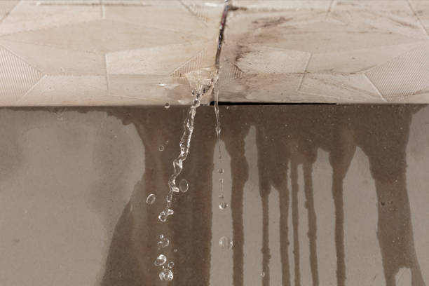 Professional Water Damage Repair technician working in Newtown, CT